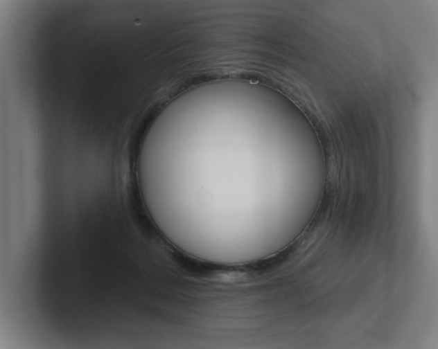 X0000102870220200808181052