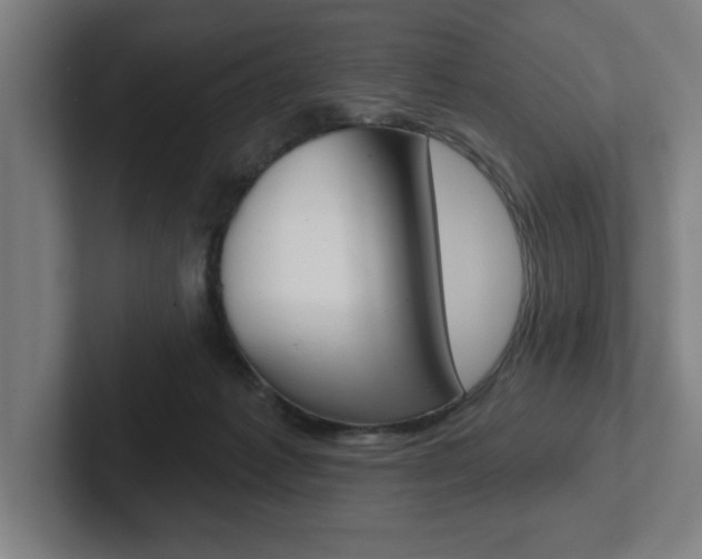 X0000102870221200808181052