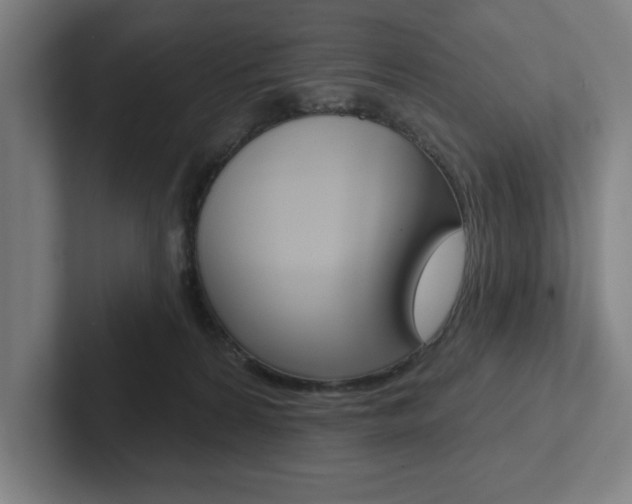 X0000102870224200808181052