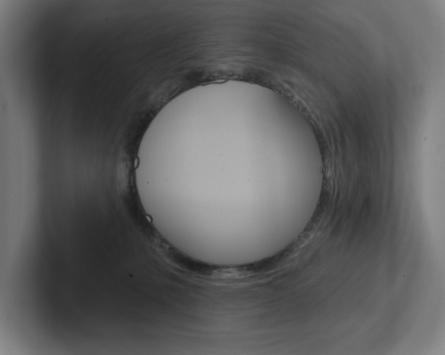 X0000102870231200808181052