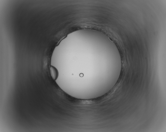 X0000102870233200808181052