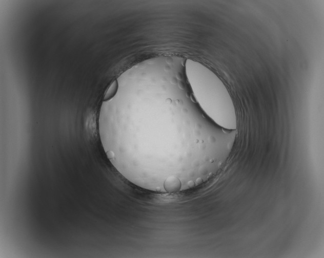 X0000102870238200808181052