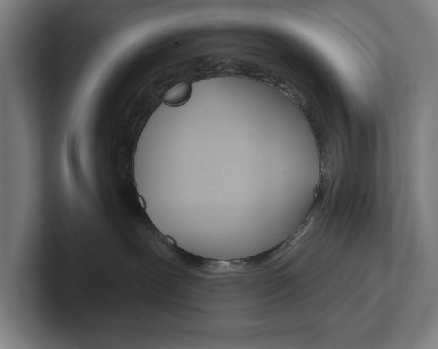X0000102870239200808181052