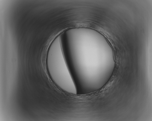 X0000102870241200808181051