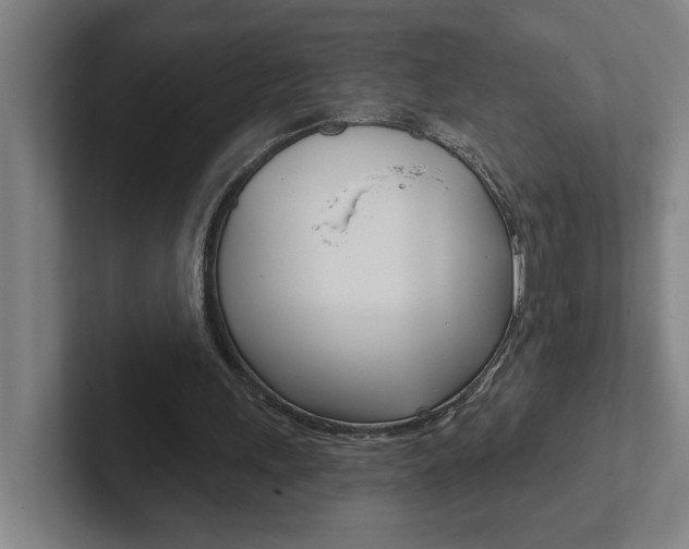 X0000102870243200808181051
