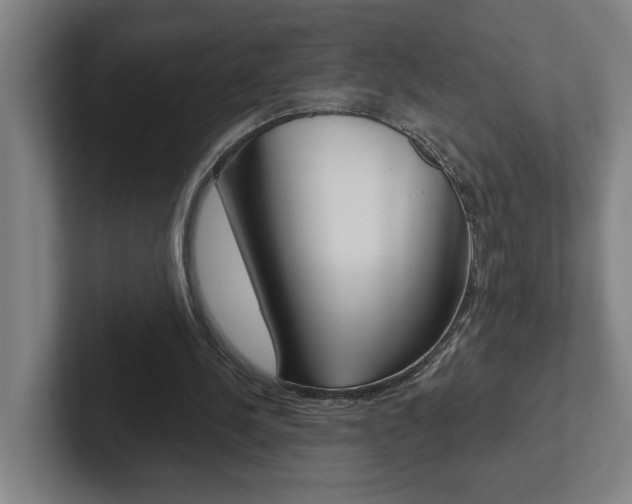 X0000102870244200808181051