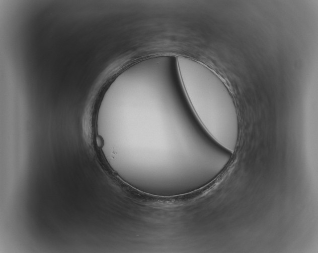 X0000102870245200808181051