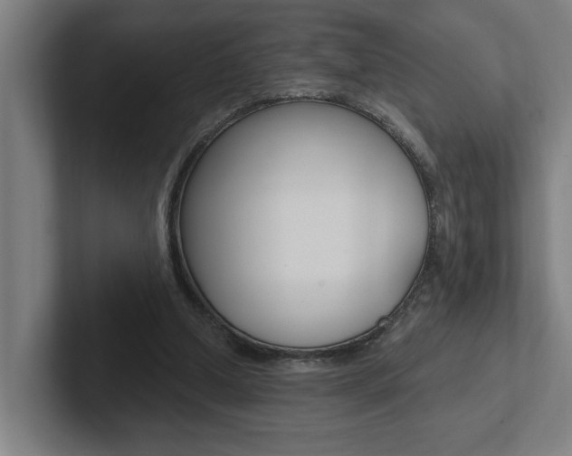X0000102870250200808181051