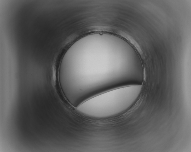 X0000102870253200808181051