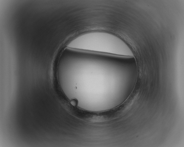 X0000102870256200808181051