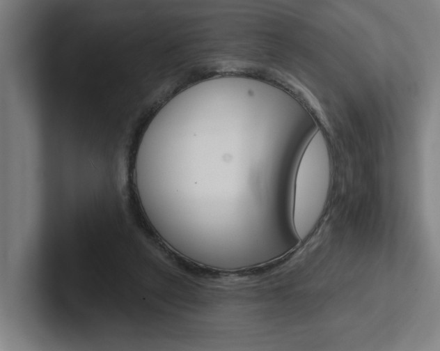 X0000102870257200808181051