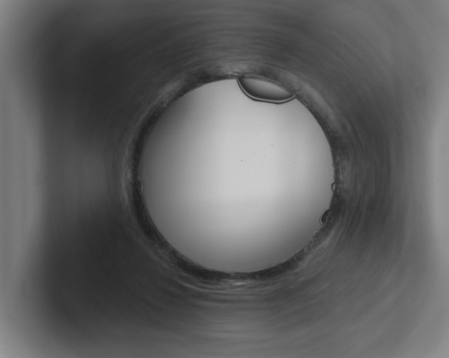 X0000102870260200808181051