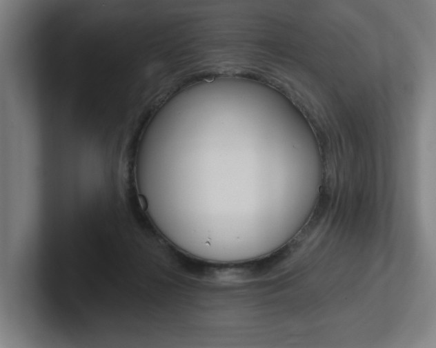 X0000102870268200808181051