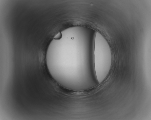X0000102870273200808181051