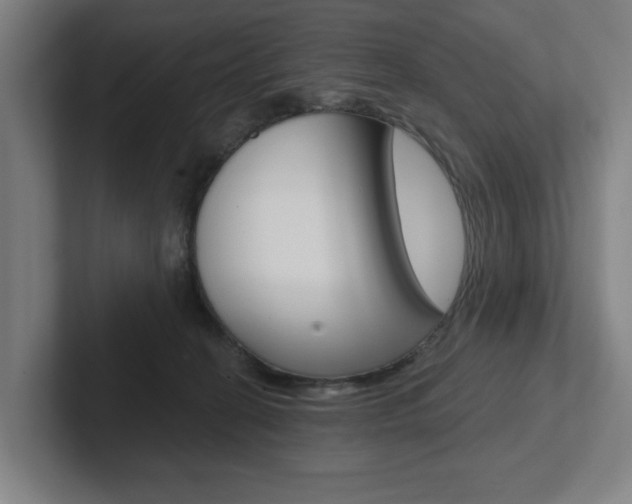 X0000102870274200808181051