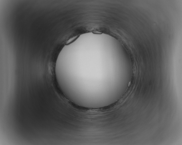 X0000102870280200808181052