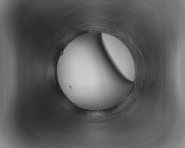 X0000102870282200808181052