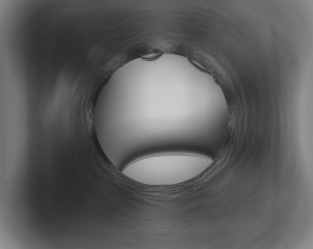 X0000102870285200808181052