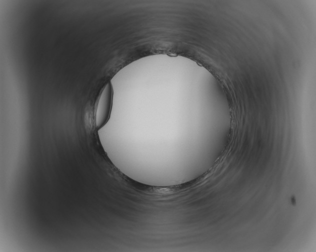 X0000102870287200808181052