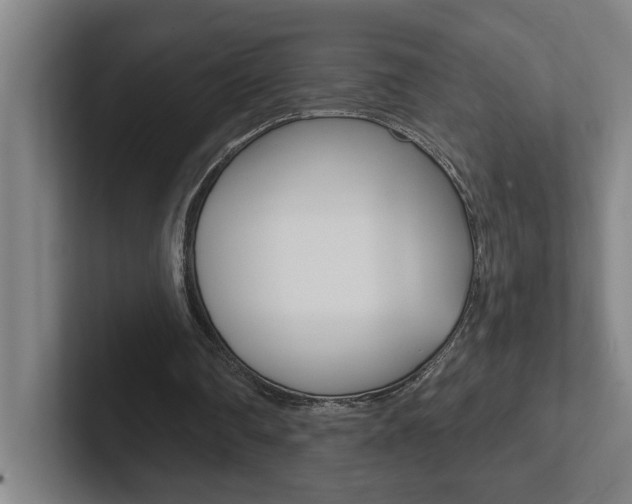 X0000102870290200808181051