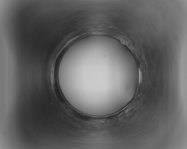 X0000102870291200808181051