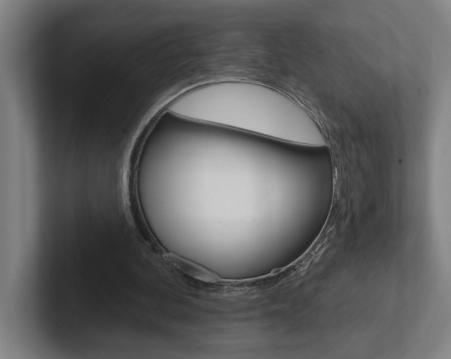 X0000102870292200808181051