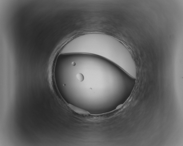 X0000102870293200808181051