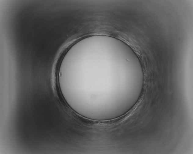 X0000102870294200808181051