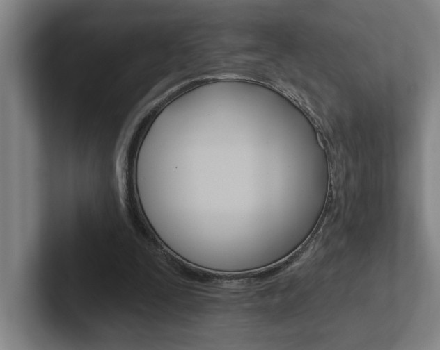 X0000102870295200808181051