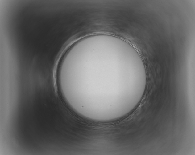 X0000102870296200808181051
