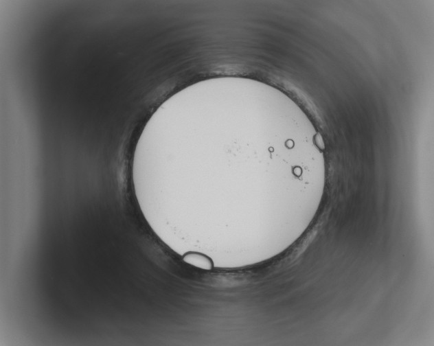 X0000102870305200808181051