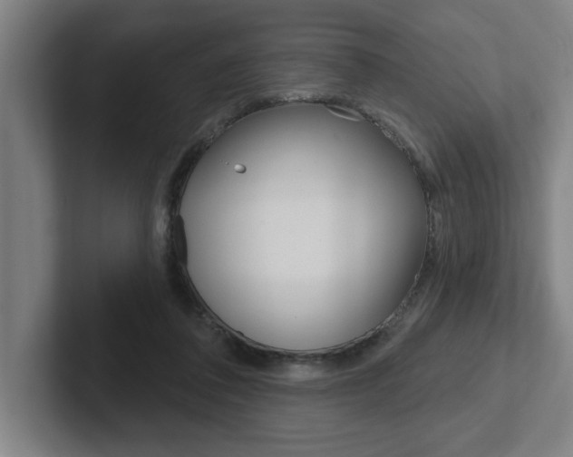 X0000102870308200808181051