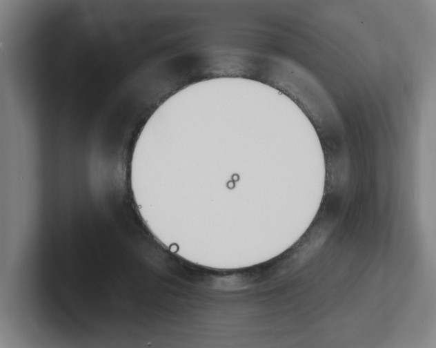 X0000102870309200808181051