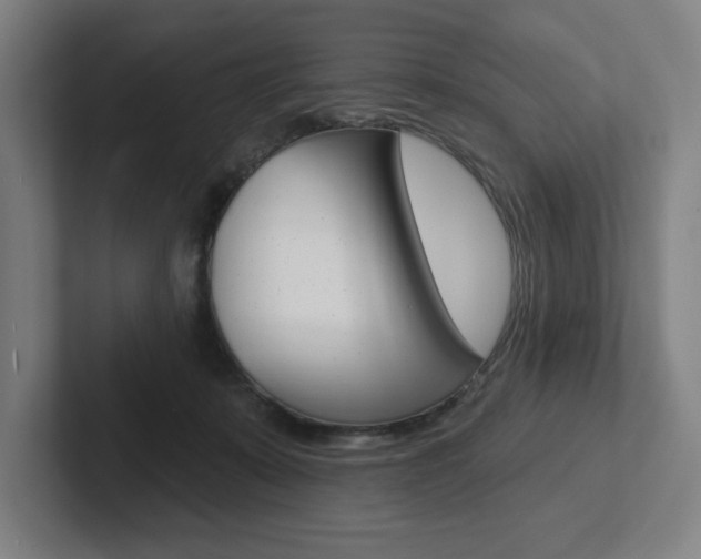 X0000102870319200808181051