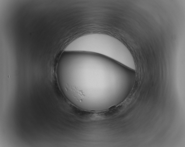 X0000102870320200808181051