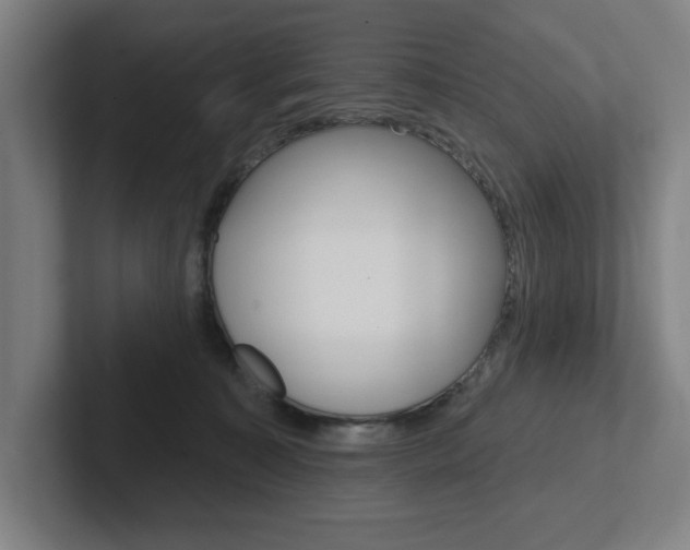 X0000102870323200808181051