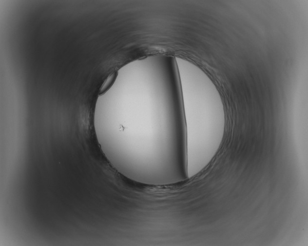 X0000102870331200808181050