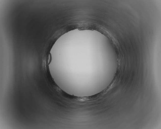 X0000102870333200808181050