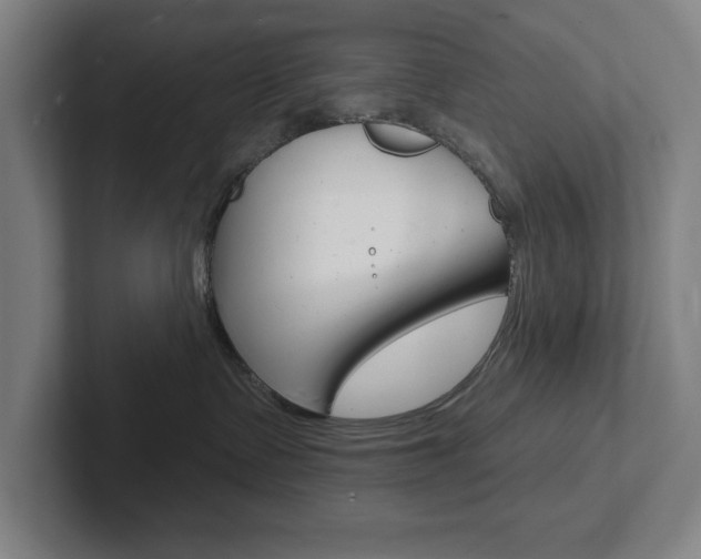 X0000102870335200808181050