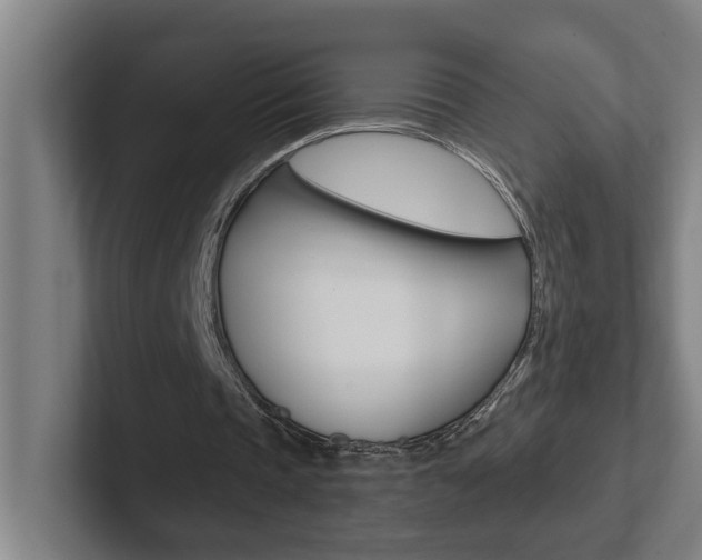 X0000102870337200808181050