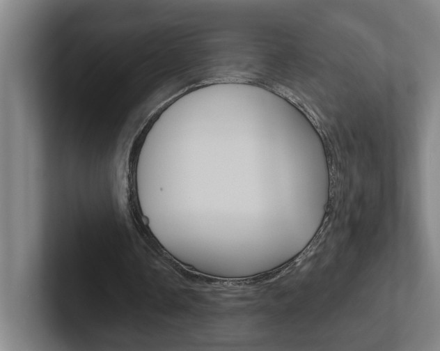 X0000102870338200808181050