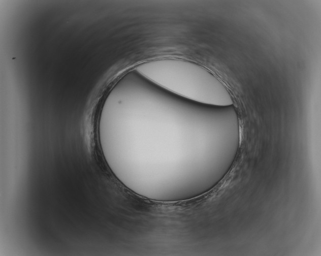 X0000102870339200808181050