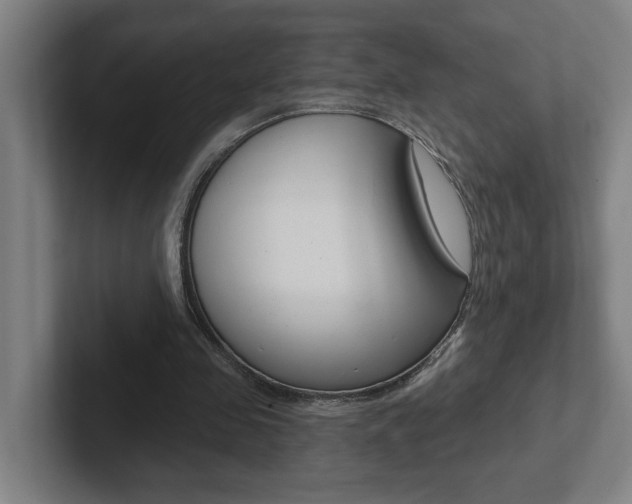 X0000102870341200808181050