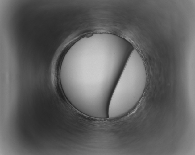 X0000102870343200808181050