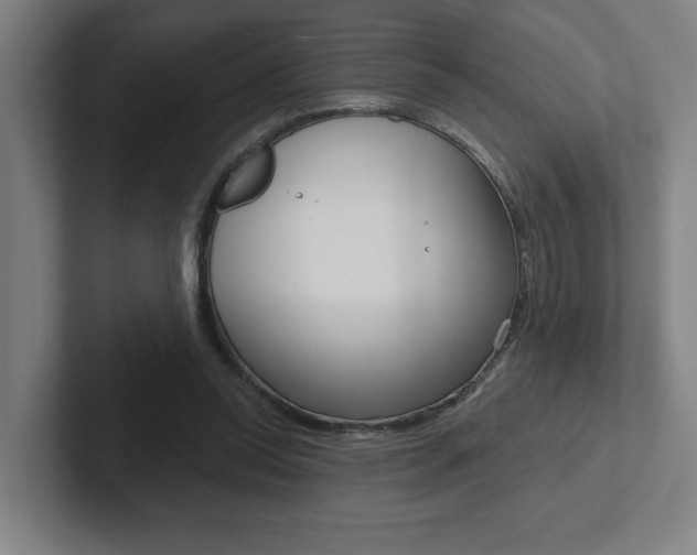 X0000102870350200808181050