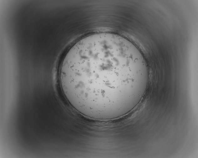 X0000102870351200808181050