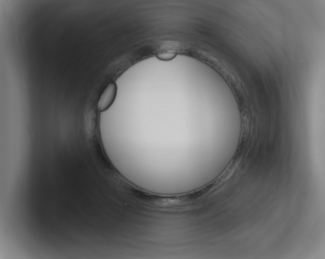 X0000102870361200808181050