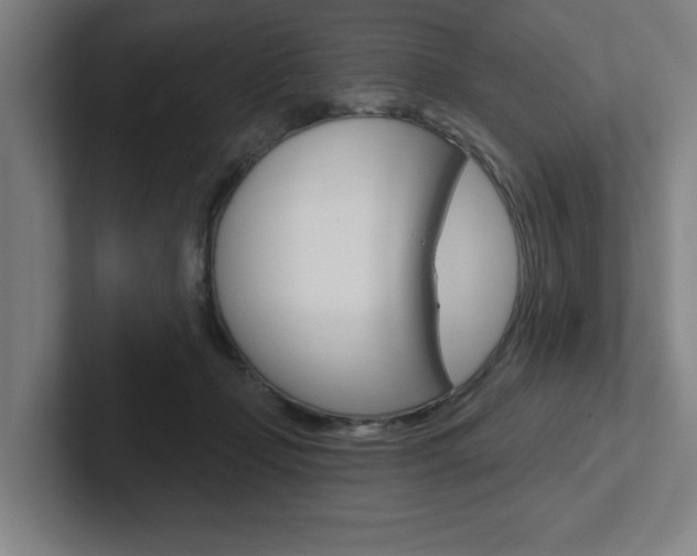 X0000102870365200808181050