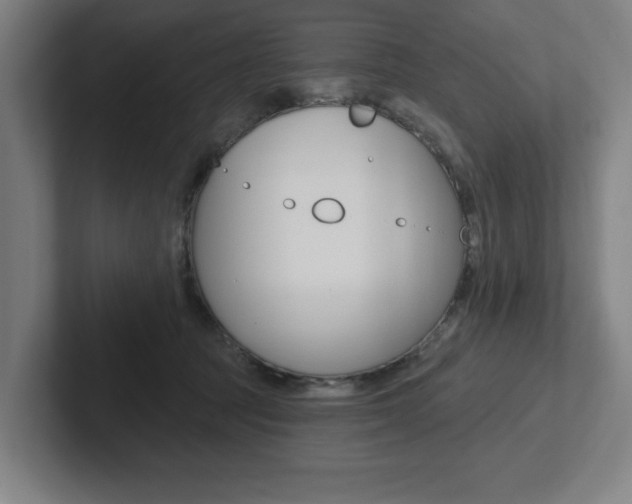 X0000102870369200808181050