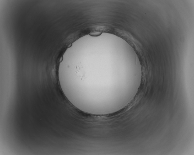 X0000102870377200808181050
